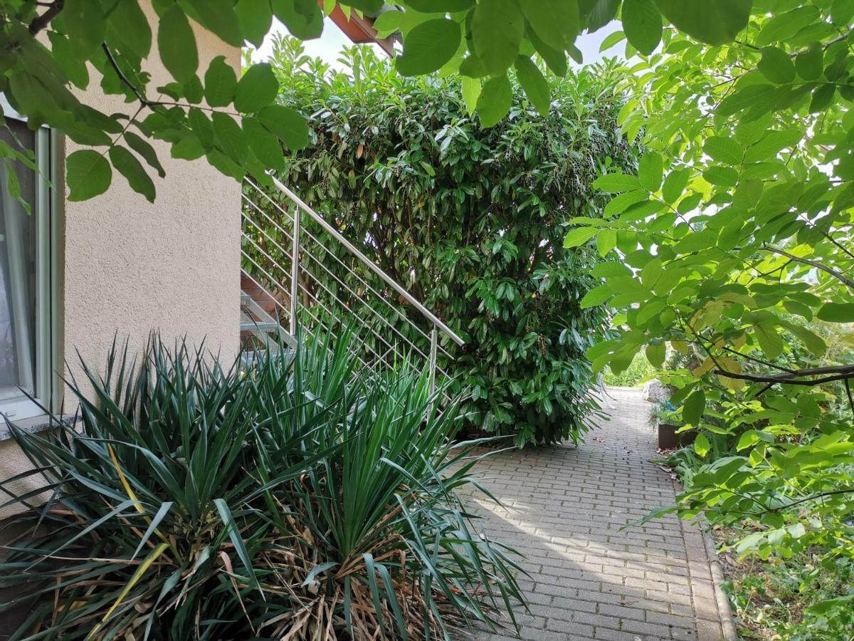 Apartment Am Horstberg ヴェルニゲローデ エクステリア 写真